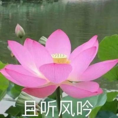 （聚焦海峡论坛）台湾舆论关注海峡论坛：增进交流 积累善意
